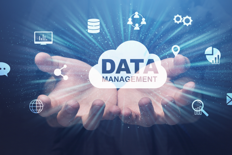Own data warehouses and independent analytics solutions improve the competitive position - iPROM - Expert opinions - Anže Hribar